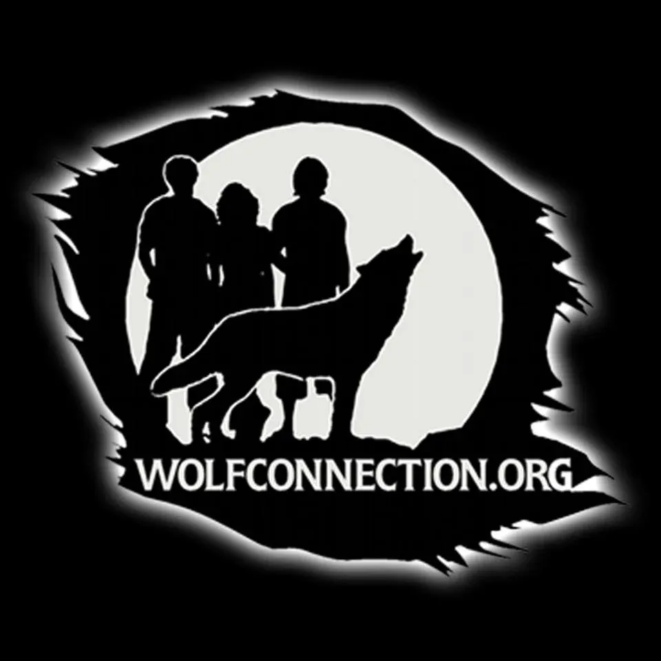 Wolf Connection